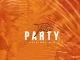 Tsetse, Party, Original Mix, mp3, download, datafilehost, toxicwap, fakaza, Afro House, Afro House 2021, Afro House Mix, Afro House Music, Afro Tech, House Music