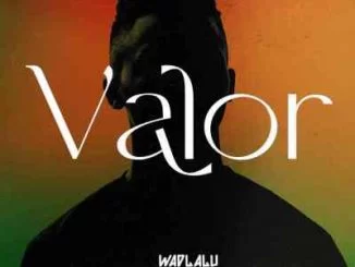 Wadlalu Drega, Valor, download ,zip, zippyshare, fakaza, EP, datafilehost, album, Hiphop, Hip hop music, Hip Hop Songs, Hip Hop Mix, Hip Hop, Rap, Rap Music