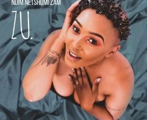 Zu, Let Me Go, Stakev, mp3, download, datafilehost, toxicwap, fakaza, House Music, Amapiano, Amapiano 2021, Amapiano Mix, Amapiano Music