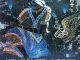 Awen, Liva K, Jordy, In Your Eyes, download ,zip, zippyshare, fakaza, EP, datafilehost, album, Afro House, Afro House 2021, Afro House Mix, Afro House Music, Afro Tech, House Music
