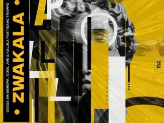 Ceega Meropa, Zwakala, Isaac Trappo, Cool Jive, Kalula, mp3, download, datafilehost, toxicwap, fakaza, House Music, Amapiano, Amapiano 2021, Amapiano Mix, Amapiano Music