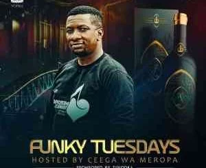 Ceega, Funky Tuesday Mix, 18-May, mp3, download, datafilehost, toxicwap, fakaza, House Music, Amapiano, Amapiano 2021, Amapiano Mix, Amapiano Music
