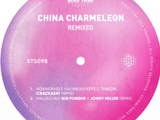 China Charmeleon, Ndikhokhele, Crackazat Remix, mp3, download, datafilehost, toxicwap, fakaza, Afro House, Afro House 2021, Afro House Mix, Afro House Music, Afro Tech, House Music