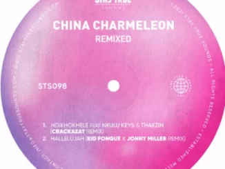 China Charmeleon, Ndikhokhele, Crackazat Remix, mp3, download, datafilehost, toxicwap, fakaza, Afro House, Afro House 2021, Afro House Mix, Afro House Music, Afro Tech, House Music