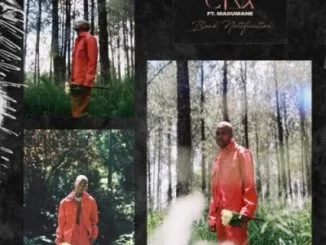 Ciza, DJ Maphorisa, Bank Notification, Madumane, mp3, download, datafilehost, toxicwap, fakaza, House Music, Amapiano, Amapiano 2021, Amapiano Mix, Amapiano Music