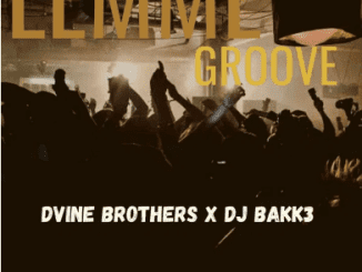 Dvine Brothers, DJ Bakk3, Lemme Groove, Original Mix, mp3, download, datafilehost, toxicwap, fakaza, Afro House, Afro House 2021, Afro House Mix, Afro House Music, Afro Tech, House Music