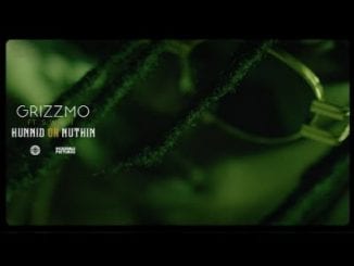 GrizzMo, Hunnid Or Nuthin, S.W.O.T, Video, mp3, download, datafilehost, toxicwap, fakaza, Afro House, Afro House 2021, Afro House Mix, Afro House Music, Afro Tech, House Music