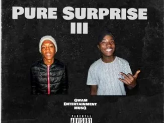 Gwam Entertainment MusiQ, Pure Surprise III, download ,zip, zippyshare, fakaza, EP, datafilehost, album, House Music, Amapiano, Amapiano 2021, Amapiano Mix, Amapiano Music