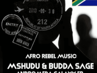 Mshudu, Budda Sage, Venom, Original Mix, mp3, download, datafilehost, toxicwap, fakaza, Afro House, Afro House 2021, Afro House Mix, Afro House Music, Afro Tech, House Music
