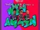Sadist, Win Again, AB Crazy, Dee Xclusive, mp3, download, datafilehost, toxicwap, fakaza, Afro House, Afro House 2021, Afro House Mix, Afro House Music, Afro Tech, House Music