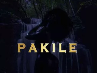 Six Past Twelve, Pakile, mp3, download, datafilehost, toxicwap, fakaza, House Music, Amapiano, Amapiano 2021, Amapiano Mix, Amapiano Music