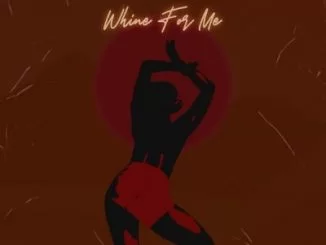 Skidi, Whine For Me, J-Smash, mp3, download, datafilehost, toxicwap, fakaza, Hiphop, Hip hop music, Hip Hop Songs, Hip Hop Mix, Hip Hop, Rap, Rap Music