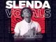 Slenda vocals, Drift Vega, Maxican Guitar, mp3, download, datafilehost, toxicwap, fakaza, House Music, Amapiano, Amapiano 2021, Amapiano Mix, Amapiano Music