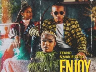 Tekno, Mafikizolo, Enjoy, Remix, mp3, download, datafilehost, toxicwap, fakaza, Afro House, Afro House 2021, Afro House Mix, Afro House Music, Afro Tech, House Music