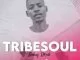 TribeSoul, Bido Vega, Nkulee, mp3, download, datafilehost, toxicwap, fakaza, House Music, Amapiano, Amapiano 2021, Amapiano Mix, Amapiano Music