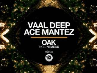 Vaal Deep, Ace Mantez, Oak, Original Mix, mp3, download, datafilehost, toxicwap, fakaza, Afro House, Afro House 2021, Afro House Mix, Afro House Music, Afro Tech, House Music