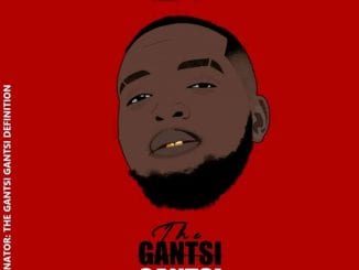 Vusinator, The GantsiGantsi Definition, download ,zip, zippyshare, fakaza, EP, datafilehost, album, House Music, Amapiano, Amapiano 2021, Amapiano Mix, Amapiano Music