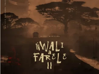 Witty Manyuha, Nwali a Farele Pt. 02, download ,zip, zippyshare, fakaza, EP, datafilehost, album, Afro House, Afro House 2021, Afro House Mix, Afro House Music, Afro Tech, House Music