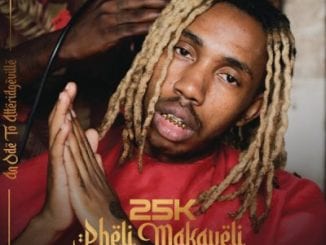 25k, Pheli Makaveli, intro, mp3, download, datafilehost, toxicwap, fakaza, Hiphop, Hip hop music, Hip Hop Songs, Hip Hop Mix, Hip Hop, Rap, Rap Music