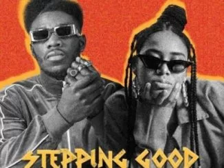 A-star, Stepping Good, Sho Madjozi, mp3, download, datafilehost, toxicwap, fakaza, House Music, Amapiano, Amapiano 2021, Amapiano Mix, Amapiano Music