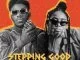 A-star, Stepping Good, Sho Madjozi, mp3, download, datafilehost, toxicwap, fakaza, House Music, Amapiano, Amapiano 2021, Amapiano Mix, Amapiano Music