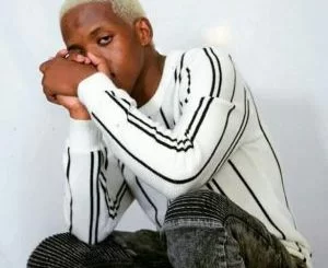 Big Xhosa, Lemon Pepper Freestyle, SOS, mp3, download, datafilehost, toxicwap, fakaza, Hiphop, Hip hop music, Hip Hop Songs, Hip Hop Mix, Hip Hop, Rap, Rap Music