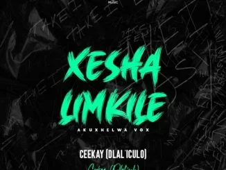 Ceekay, dlal’iculo, Xesha Limkile, akuxhelwa Vox, mp3, download, datafilehost, toxicwap, fakaza, Gqom Beats, Gqom Songs, Gqom Music, Gqom Mix, House Music