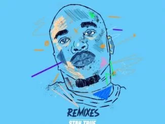 China Charmeleon, Remixes Stay True Sounds, Cover Artwork, Tracklist, download ,zip, zippyshare, fakaza, EP, datafilehost, album, Deep House Mix, Deep House, Deep House Music, Deep Tech, Afro Deep Tech, House Music