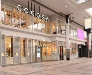 CocoSA, Ikoloyi, Chinni, mp3, download, datafilehost, toxicwap, fakaza, Deep House Mix, Deep House, Deep House Music, Deep Tech, Afro Deep Tech, House Music