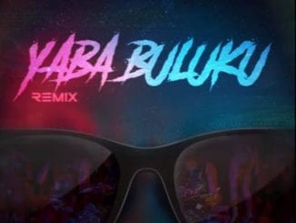 DJ Tarico, Burna Boy, Yaba Buluku, Remix, Preck, Nelson Tivane, mp3, download, datafilehost, toxicwap, fakaza, House Music, Amapiano, Amapiano 2021, Amapiano Mix, Amapiano Music