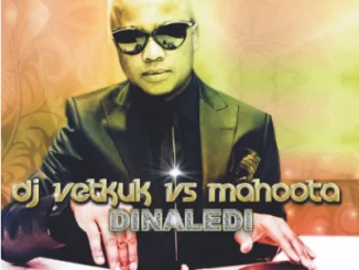 DJ Vetkuk, Mahoota, Dinaledi, download ,zip, zippyshare, fakaza, EP, datafilehost, album, Afro House, Afro House 2021, Afro House Mix, Afro House Music, Afro Tech, House Music