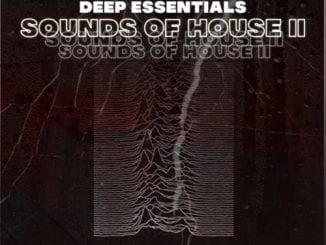 Deep Essentials, Sounds of House II, download ,zip, zippyshare, fakaza, EP, datafilehost, album, Deep House Mix, Deep House, Deep House Music, Deep Tech, Afro Deep Tech, House Music