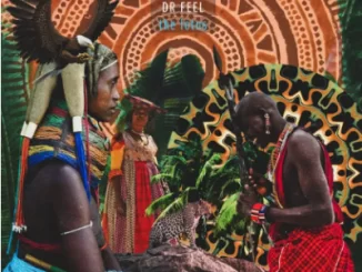 Dr Feel, The Lotus, download ,zip, zippyshare, fakaza, EP, datafilehost, album, Afro House, Afro House 2021, Afro House Mix, Afro House Music, Afro Tech, House Music
