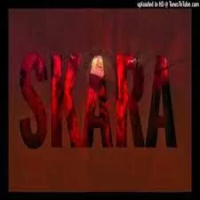 Focalistic, Mdu Aka TRP, Vigro Deep, Lady Du Type Beat, SKARA, mp3, download, datafilehost, toxicwap, fakaza, House Music, Amapiano, Amapiano 2021, Amapiano Mix, Amapiano Music