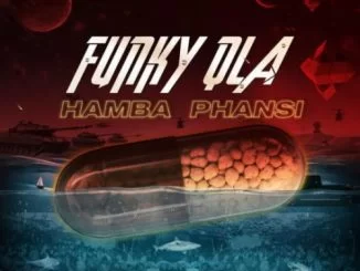 Funky Qla, Hamba Phansi, mp3, download, datafilehost, toxicwap, fakaza, Gqom Beats, Gqom Songs, Gqom Music, Gqom Mix, House Music
