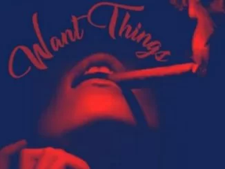 Hn, Want Things, Chad Da Do, Diiice, mp3, download, datafilehost, toxicwap, fakaza, Hiphop, Hip hop music, Hip Hop Songs, Hip Hop Mix, Hip Hop, Rap, Rap Music