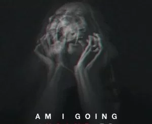 KingDonna, Am I Going Insane, download ,zip, zippyshare, fakaza, EP, datafilehost, album, Afro House, Afro House 2021, Afro House Mix, Afro House Music, Afro Tech, House Music