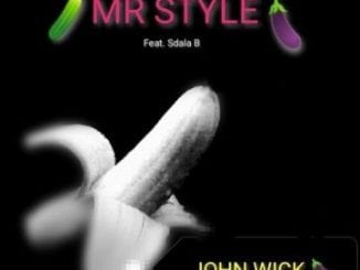 Mr Style, John Wick, Sdala B, mp3, download, datafilehost, toxicwap, fakaza, House Music, Amapiano, Amapiano 2021, Amapiano Mix, Amapiano Music