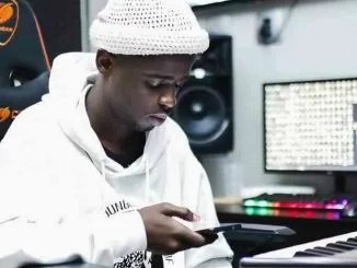 Nkulee 501, Djy Zan SA, Fanarito, Skelem Sakho, Dub Mix, mp3, download, datafilehost, toxicwap, fakaza, House Music, Amapiano, Amapiano 2021, Amapiano Mix, Amapiano Music