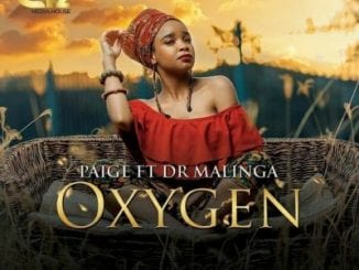 Paige, Oxygen, Dr Malinga, mp3, download, datafilehost, toxicwap, fakaza, Afro House, Afro House 2021, Afro House Mix, Afro House Music, Afro Tech, House Music