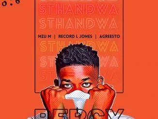 Percy V, Record L Jones, Sthandwa,Mzu M, Agreesto, mp3, download, datafilehost, toxicwap, fakaza, House Music, Amapiano, Amapiano 2021, Amapiano Mix, Amapiano Music