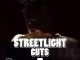 ProSoul Da Deejay, Streetlight Cuts 005 Mix, mp3, download, datafilehost, toxicwap, fakaza, House Music, Amapiano, Amapiano 2021, Amapiano Mix, Amapiano Music