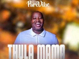 PureVibe, Thula Mama, Leon Lee, mp3, download, datafilehost, toxicwap, fakaza, House Music, Amapiano, Amapiano 2021, Amapiano Mix, Amapiano Music