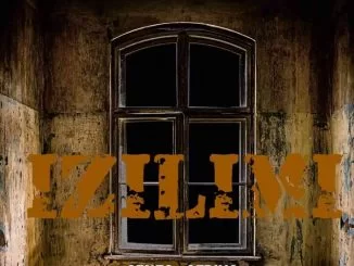 Senzo Afrika, IZILIMI, mp3, download, datafilehost, toxicwap, fakaza, Afro House, Afro House 2021, Afro House Mix, Afro House Music, Afro Tech, House Music