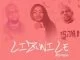 Solyd The Plug, Sandra Ndebele, Professor, Lizwile, Remix, mp3, download, datafilehost, toxicwap, fakaza, Afro House, Afro House 2021, Afro House Mix, Afro House Music, Afro Tech, House Music