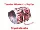 Themba Mbokazi, Sayfar, Siyabelesela, mp3, download, datafilehost, toxicwap, fakaza, House Music, Amapiano, Amapiano 2021, Amapiano Mix, Amapiano Music
