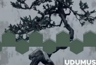 Udumusic, Ame Nimo Makezu, Mpeshnyk Remix, mp3, download, datafilehost, toxicwap, fakaza, Deep House Mix, Deep House, Deep House Music, Deep Tech, Afro Deep Tech, House Music