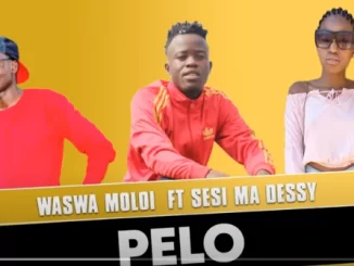 Waswa Moloi, Pelo, Sesi Ma Dessy, Original, mp3, download, datafilehost, toxicwap, fakaza, Afro House, Afro House 2021, Afro House Mix, Afro House Music, Afro Tech, House Music