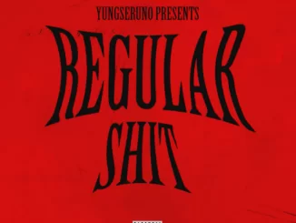 Yungseruno, Regular Shit, Lucasraps, Kaicash, mp3, download, datafilehost, toxicwap, fakaza, Hiphop, Hip hop music, Hip Hop Songs, Hip Hop Mix, Hip Hop, Rap, Rap Music