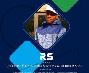 Buddynice, Redemial Sounds, Chill Sessions, mp3, download, datafilehost, toxicwap, fakaza, Deep House Mix, Deep House, Deep House Music, Deep Tech, Afro Deep Tech, House Music